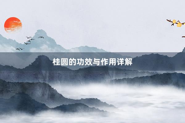 桂圆的功效与作用详解